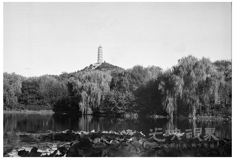 Untitled (37).jpg