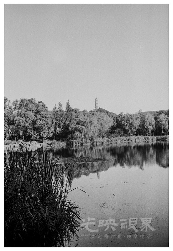 Untitled (61).jpg