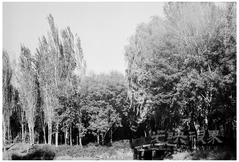 Untitled (25).jpg